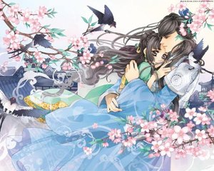 红桃电视剧影视大全在线观看